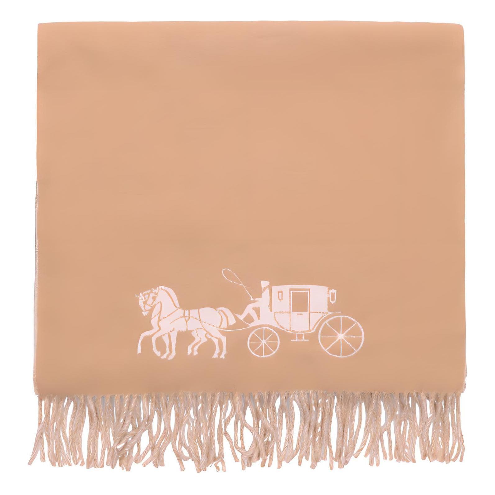 Шарф COACH Scarf - изображение 3