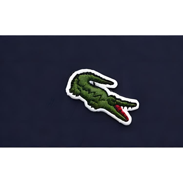 Худи LACOSTE - изображение 3
