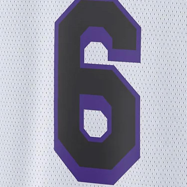 Баскетбольная майка Nike NBA City Edition Jersey 2022-23 Lakers LeBron James 6 White - изображение 3