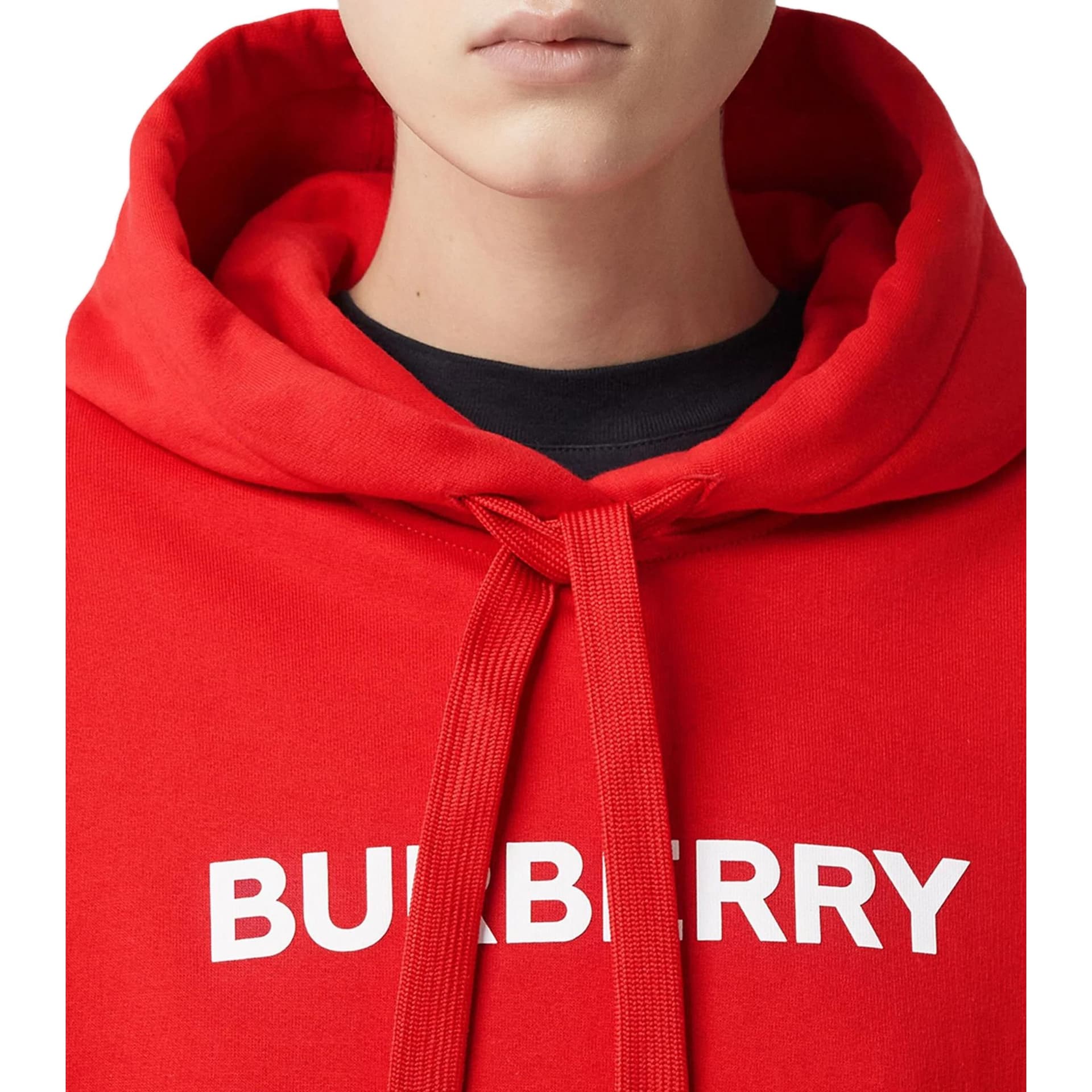 Худи Burberry FW22 Logo - изображение 2