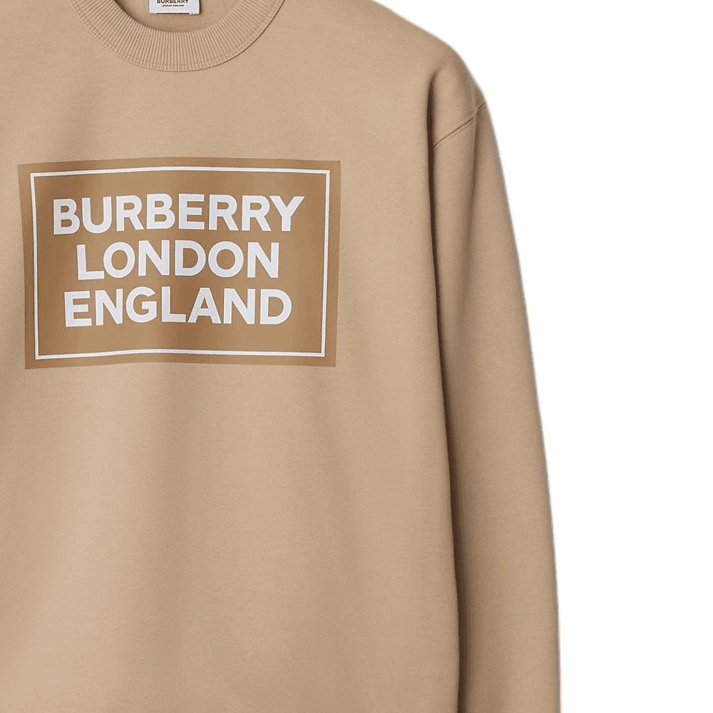 Худи Burberry Logo - изображение 6