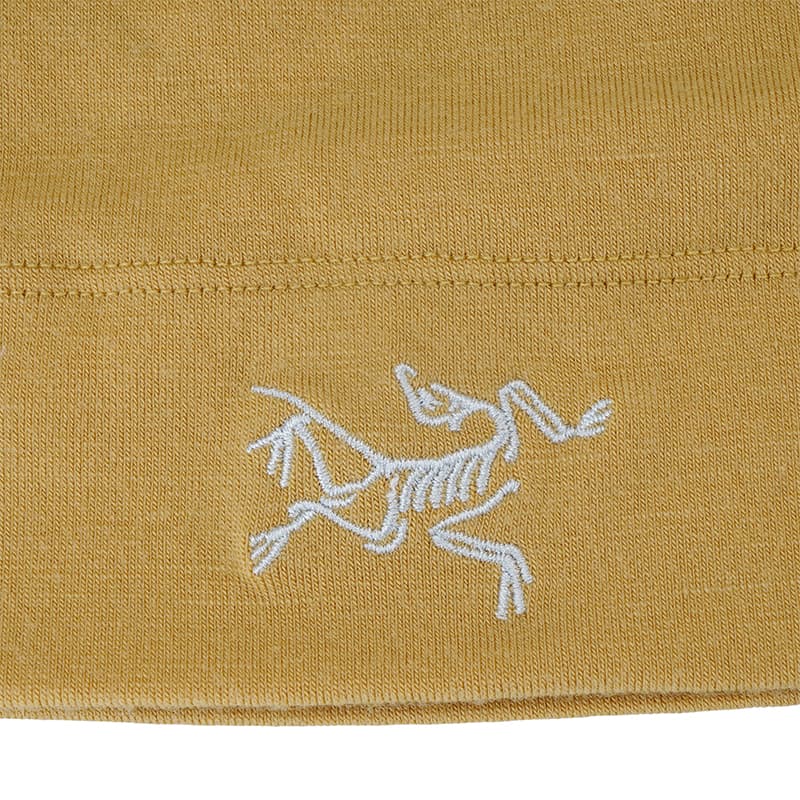 Шапка Arcteryx - изображение 5