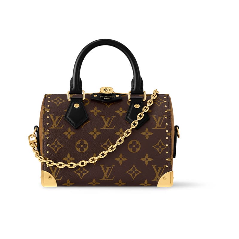 Сумка Louis Vuitton SpeedyTrunk 20 - изображение 1
