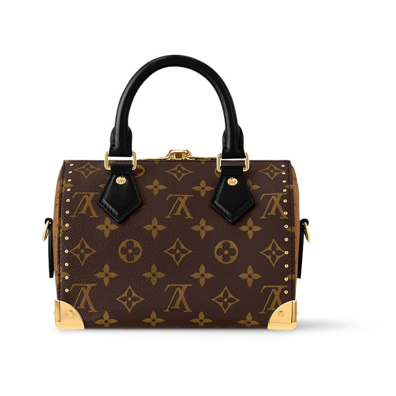 Сумка Louis Vuitton SpeedyTrunk 20 - изображение 4