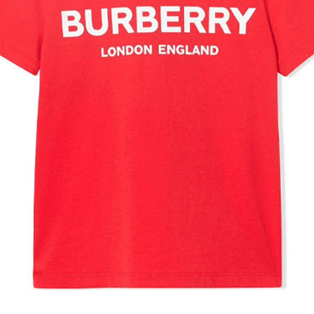 Футболка Burberry T - изображение 4