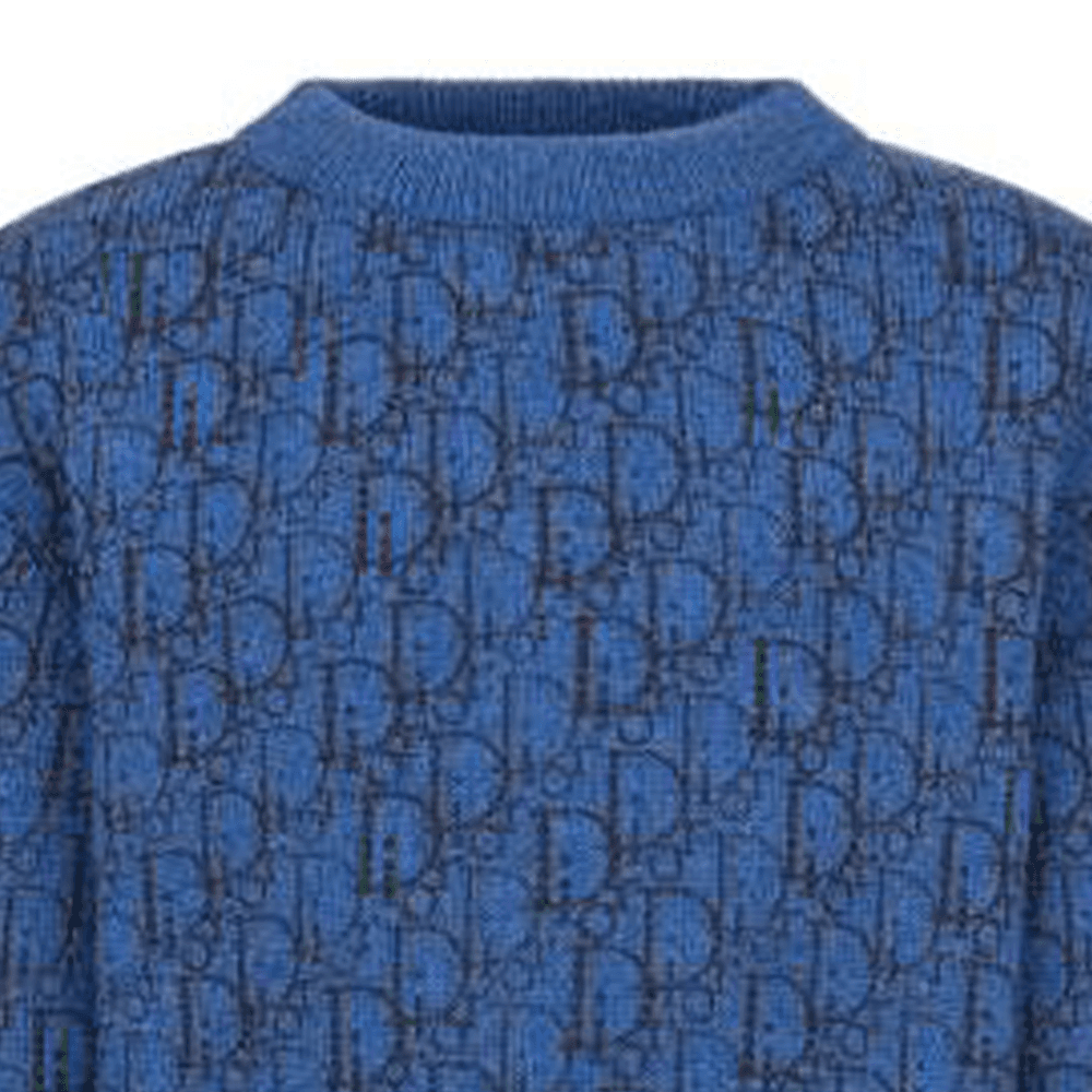 DIOR FW22 Logo - изображение 3