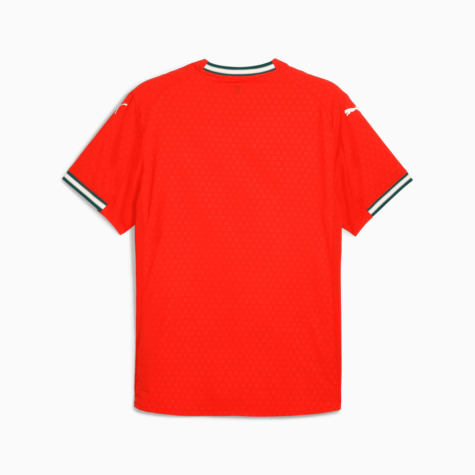 PUMA Portugal National Team Футбол Джерси Игровая версия Men's Sports Красный - изображение 2