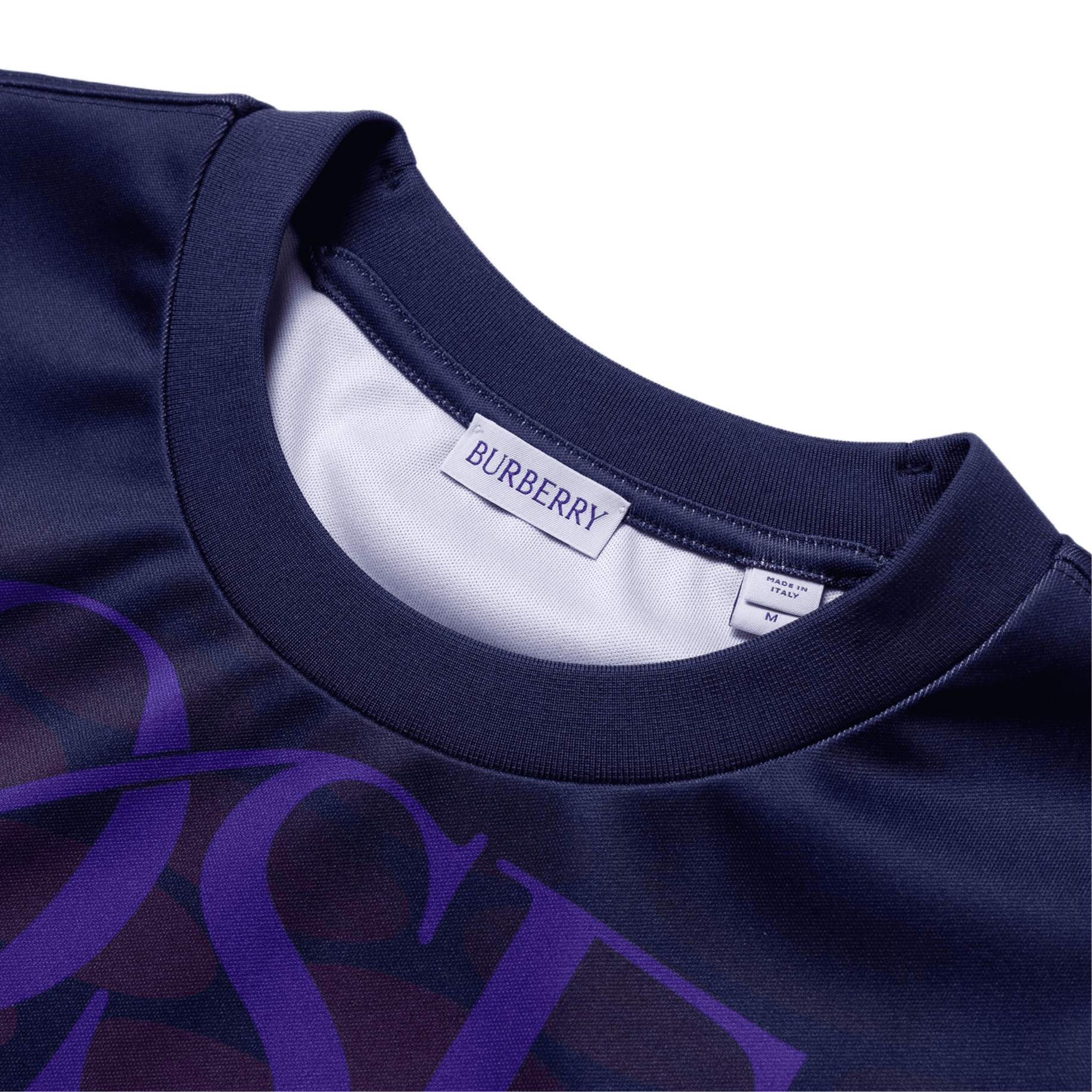 Худи Burberry FW23 Logo - изображение 5