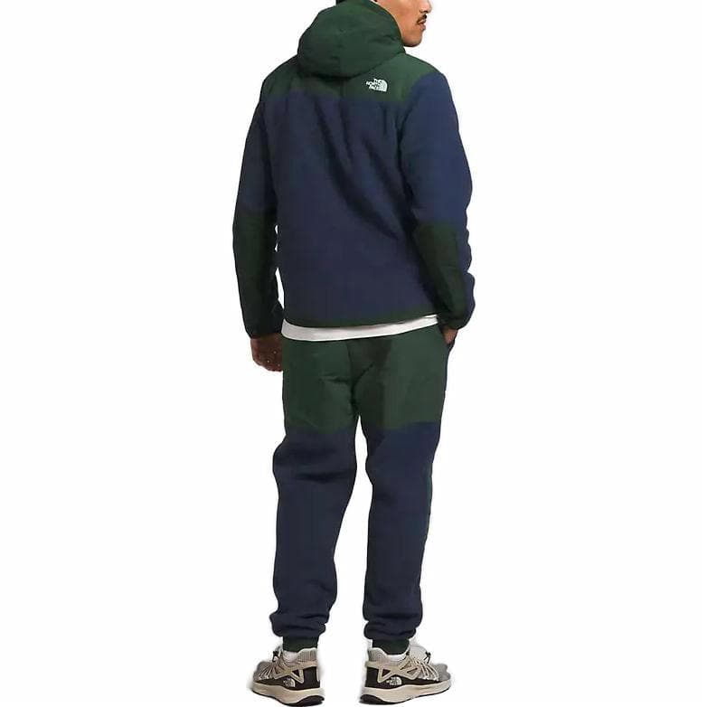 Худи The North Face Denali Anorak - изображение 3