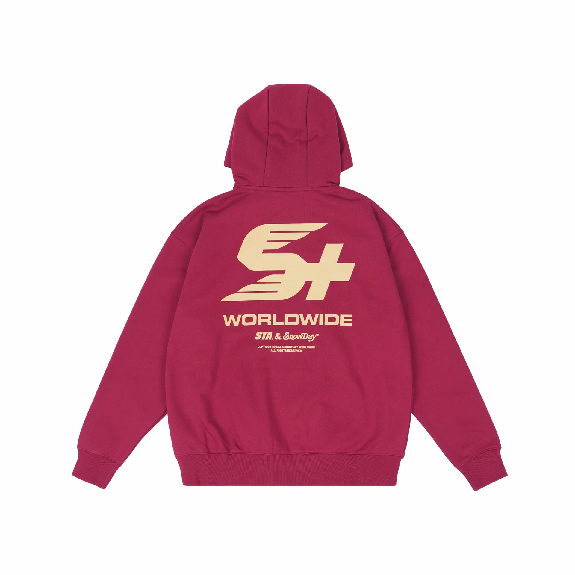 Худи Snowday STAS box logo - изображение 2