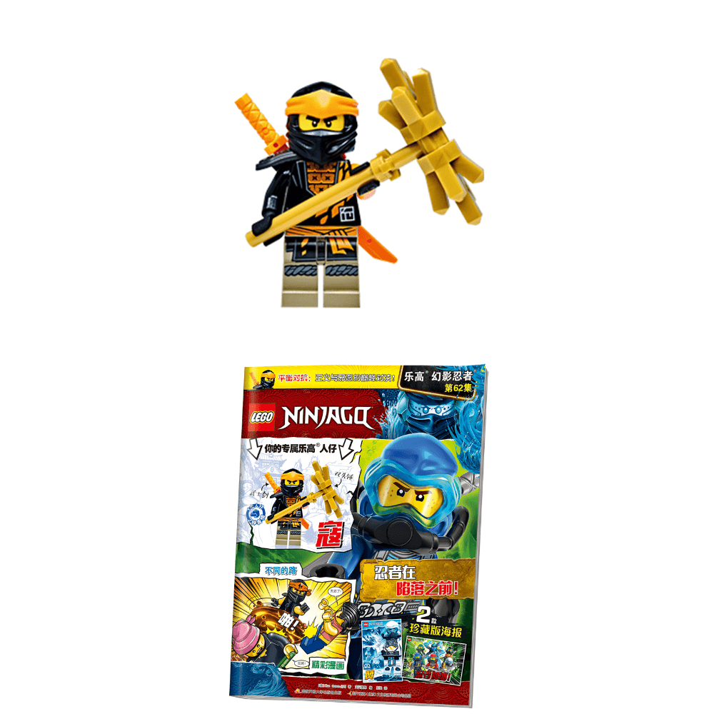 LEGO 62 21072010110226 - изображение 4