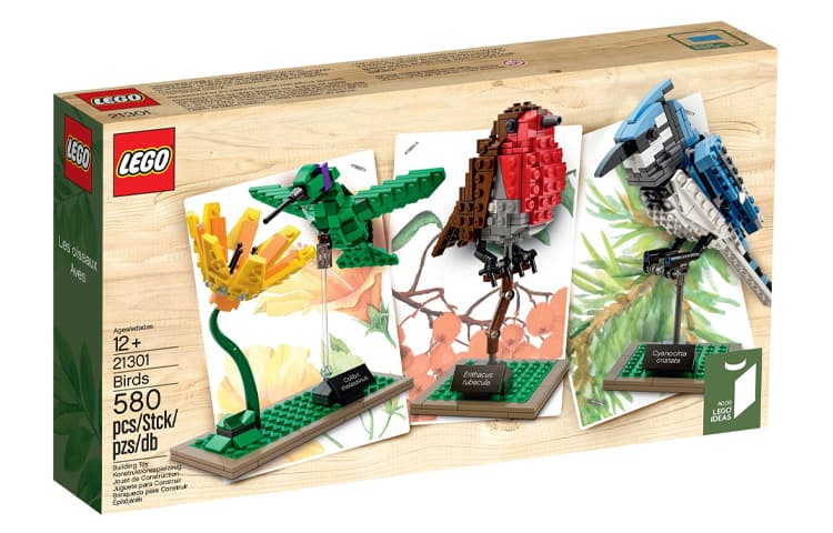 Конструктор LEGO Ideas 21301 - изображение 3