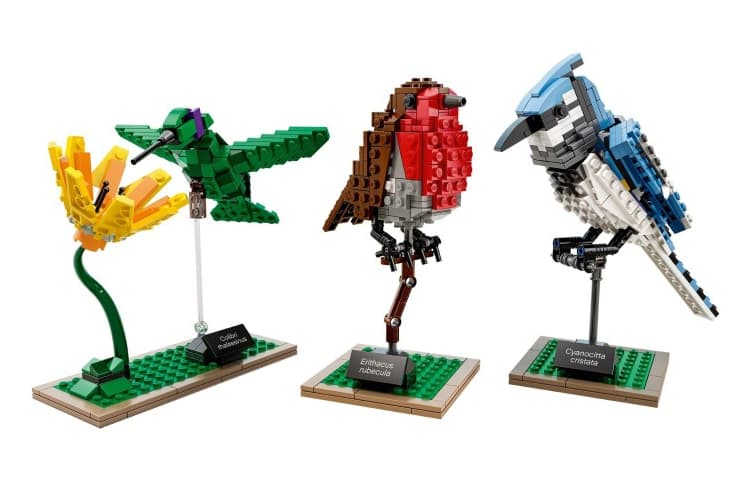 Конструктор LEGO Ideas 21301 - изображение 2