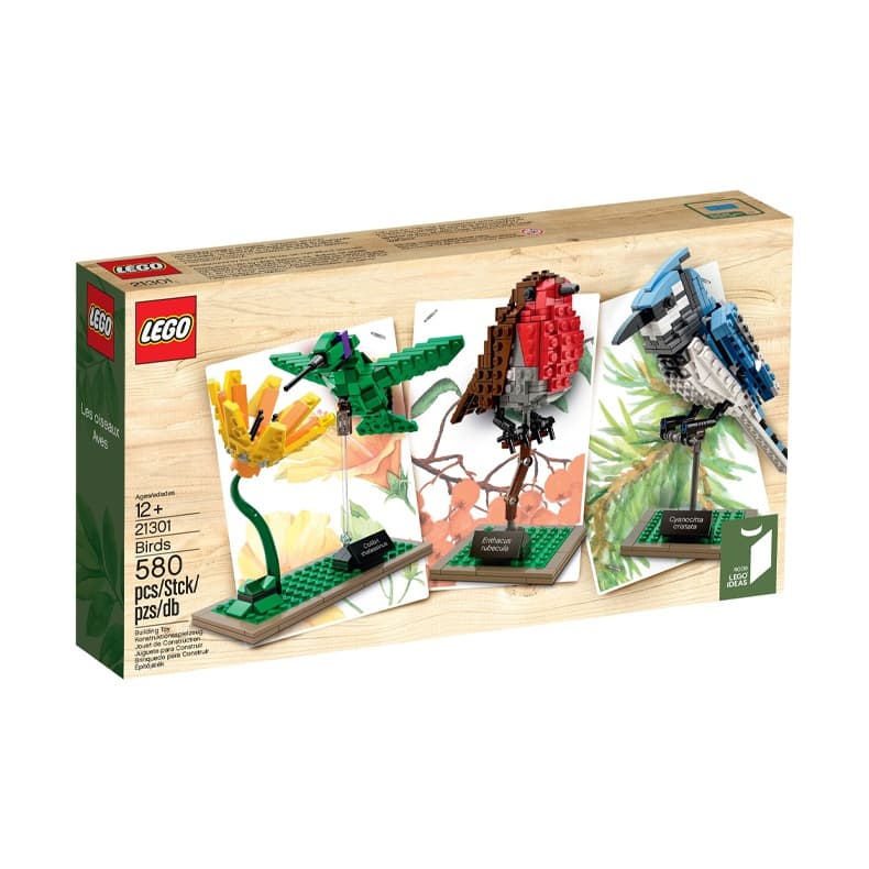 Конструктор LEGO Ideas 21301 - изображение 4
