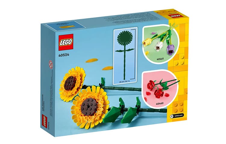 LEGO 40524 - изображение 4