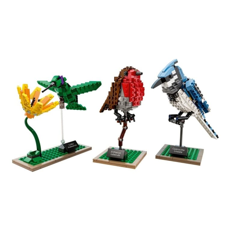 Конструктор LEGO Ideas 21301 - изображение 5