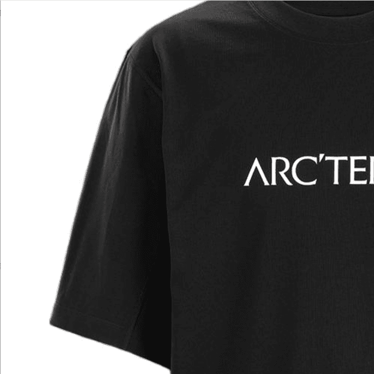 Футболка Arcteryx LogoT - изображение 2
