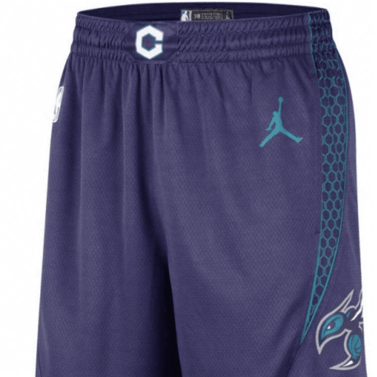 Баскетбольные шорты Jordan - изображение 3
