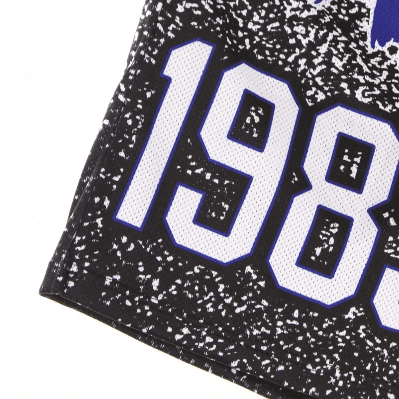 Баскетбольные шорты Mitchell Ness SW - изображение 4