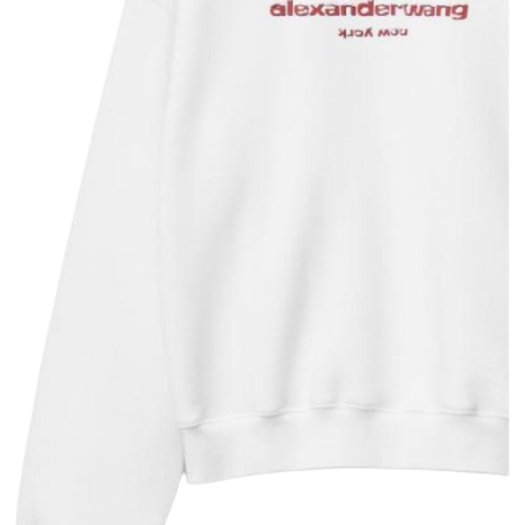 Худи alexander wang SS22 - изображение 2