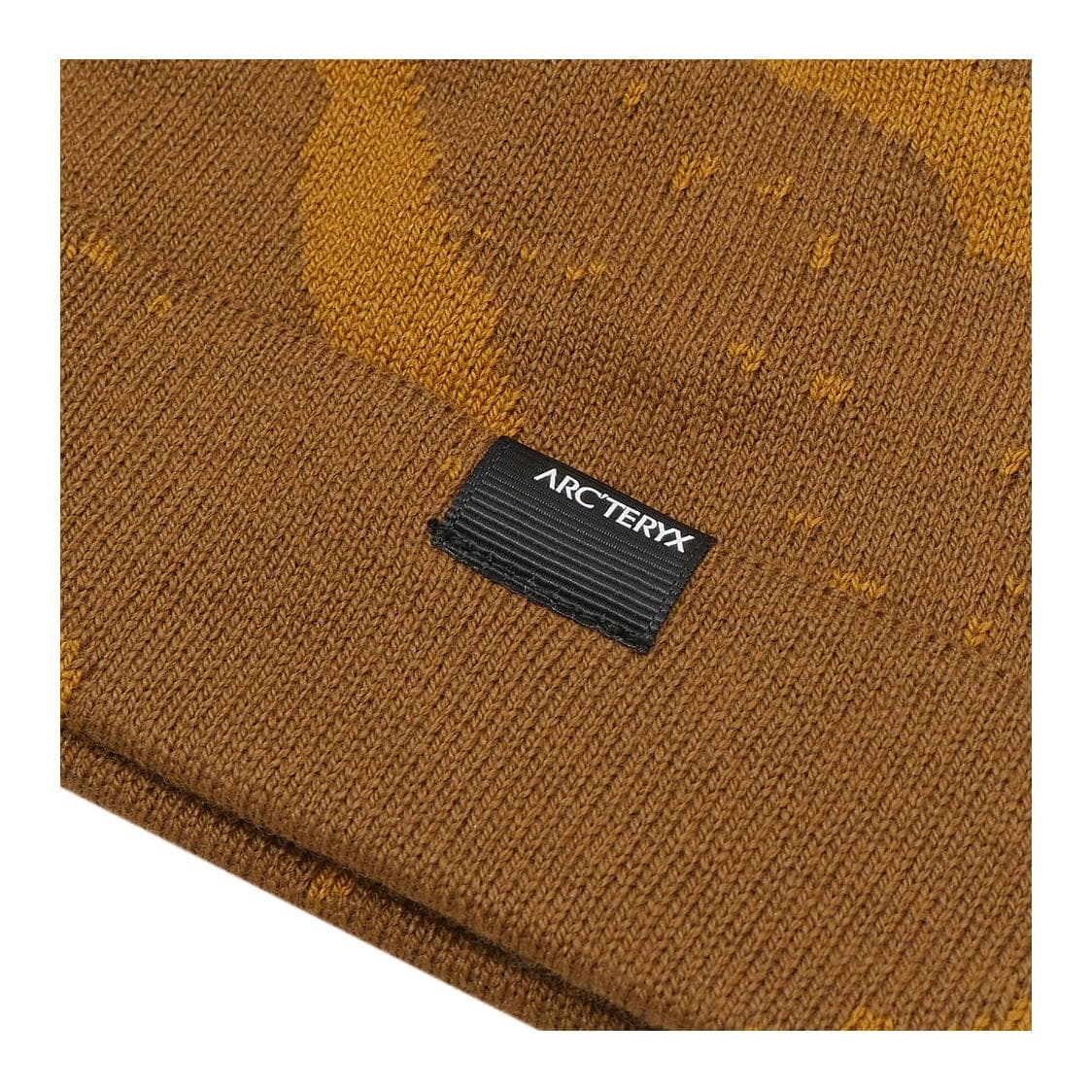 Шапка Arcteryx Logo - изображение 4