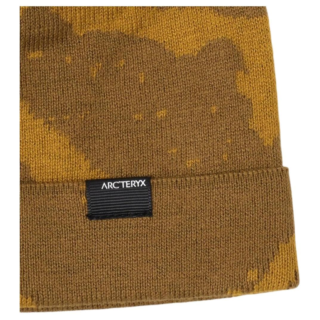 Шапка Arcteryx Logo - изображение 5