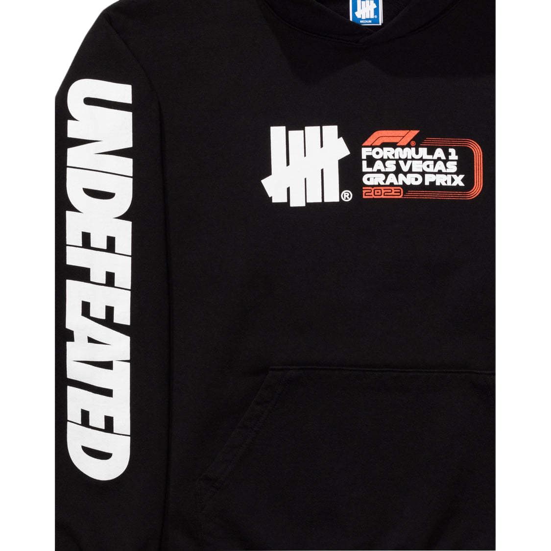 Худи UNDEFEATED x F1 LVGP F1 LVGP Logo - изображение 5