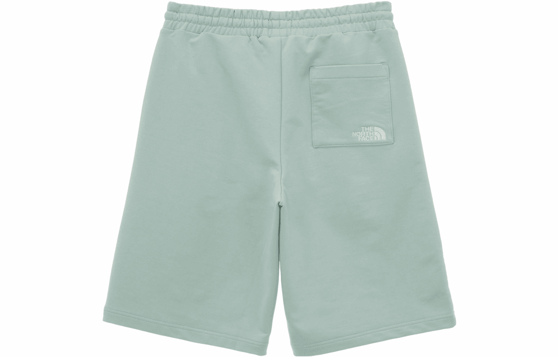 Шорты THE NORTH FACE Logoa - изображение 2