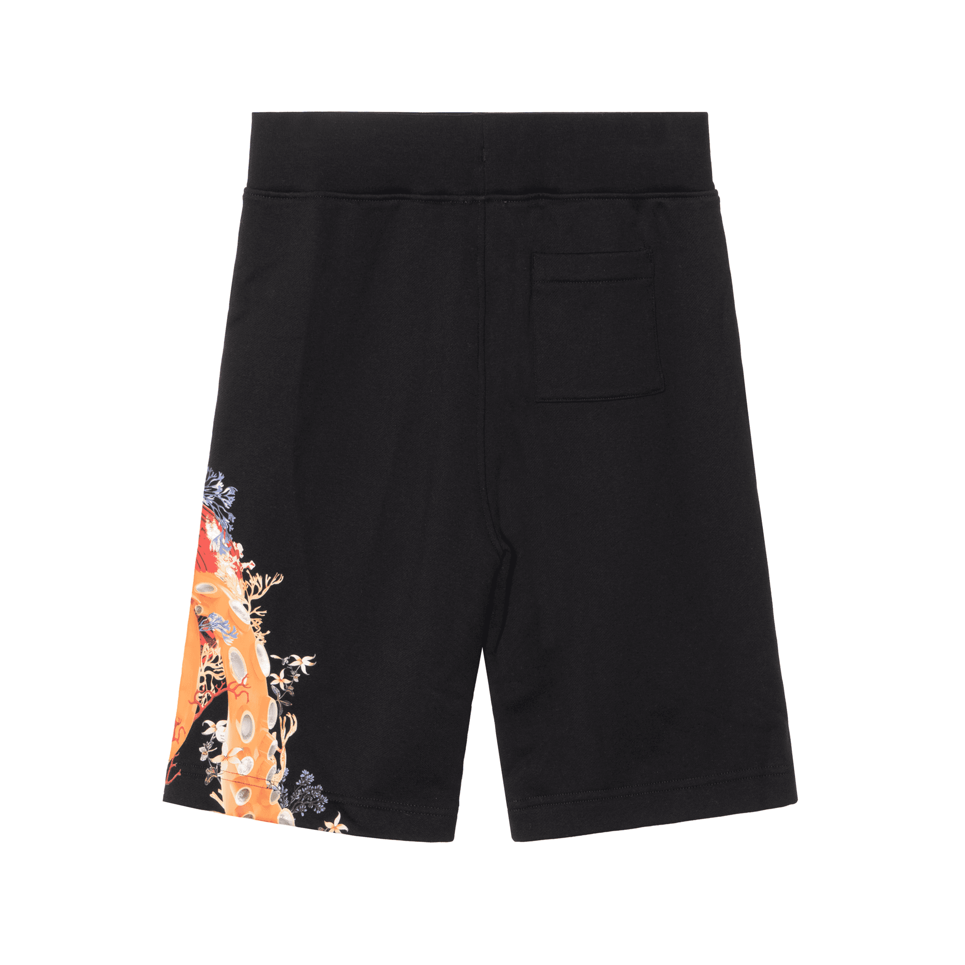 Burberry SS23 Logo - изображение 2