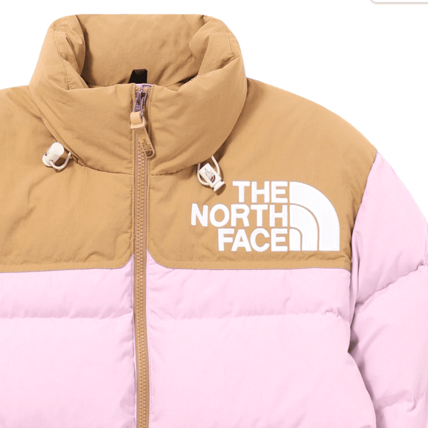 Пуховик THE NORTH FACE SS23 Low-Fi Hi-Tek Logo - изображение 4