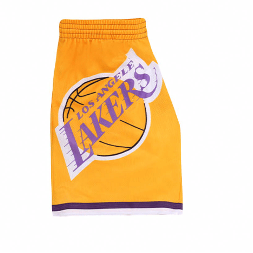 Баскетбольные шорты Mitchell Ness SW - изображение 4