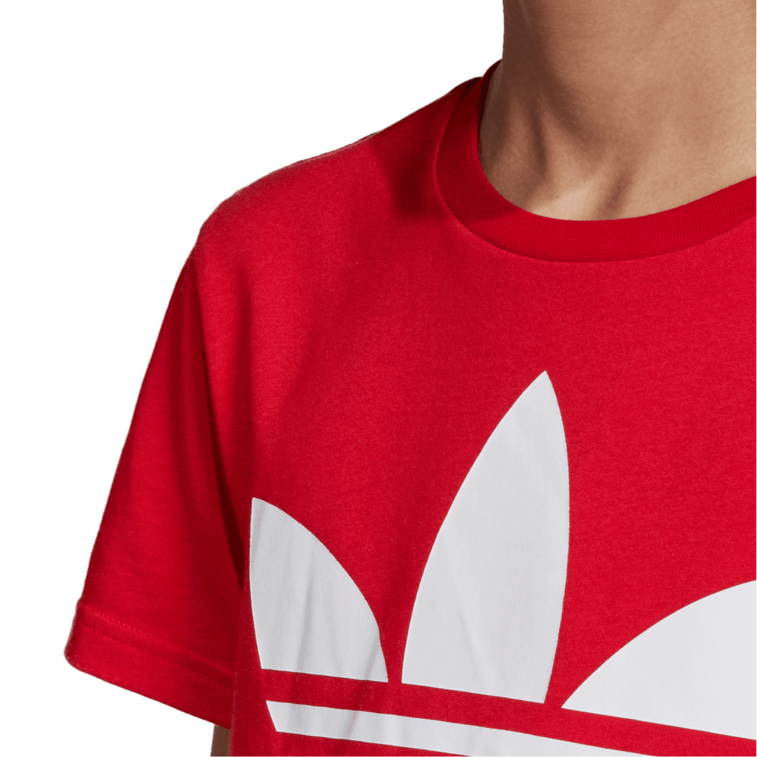 Футболка adidas originals logoT - изображение 5