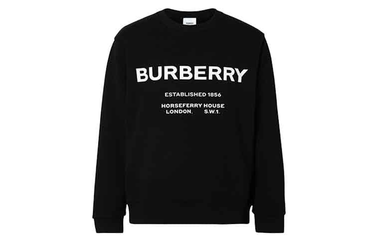 Худи Burberry Logo - изображение 1
