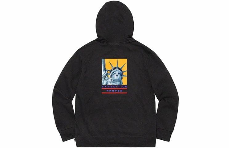 Кофта Supreme x THE NORTH FACE FW19 Week 10 Statue of Liberty Hooded Sweatshirt Black - изображение 1