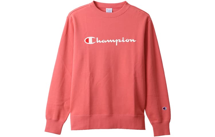 Худи Champion Logo - изображение 1