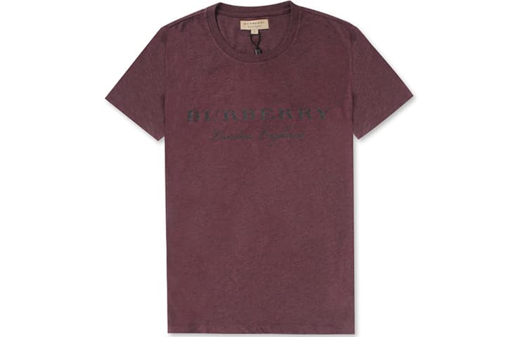 Футболка Burberry SS21 LogoT - изображение 1