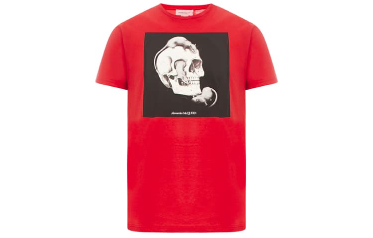 Футболка Alexander McQueen T - изображение 1