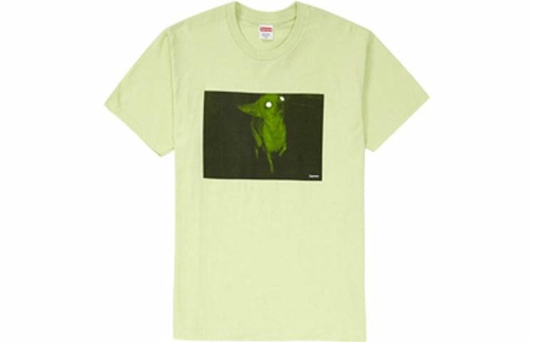 Футболка Supreme FW18 Chris Cunningham Chihuahua Tee Pale Mint - изображение 1