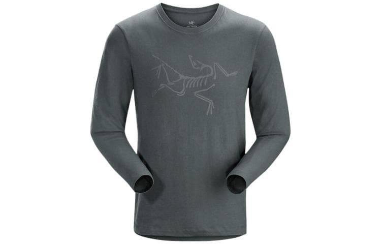 Футболка Arcteryx Archaeopteryx LS LogoT - изображение 1