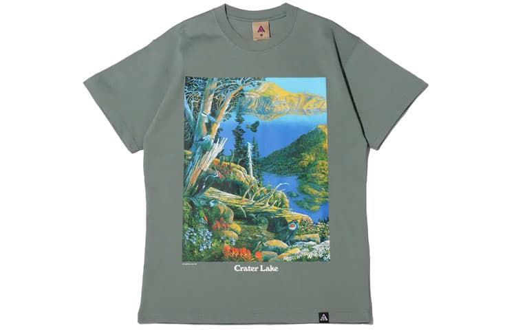 Футболка Nike ACG Crater Lake T - изображение 1