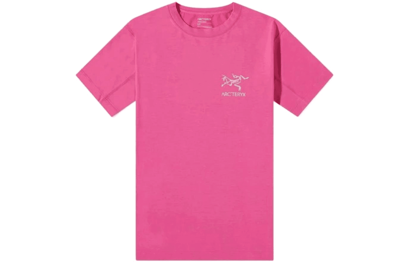 Футболка Arcteryx SYSTEM_A Copal Bird T-shirt Men's LogoT - изображение 1