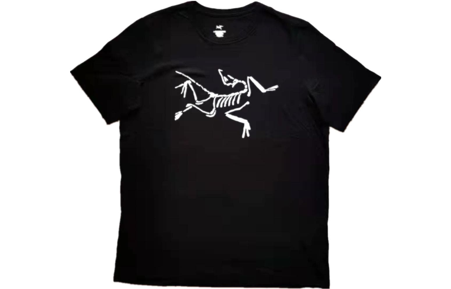 Футболка Arcteryx T - изображение 1