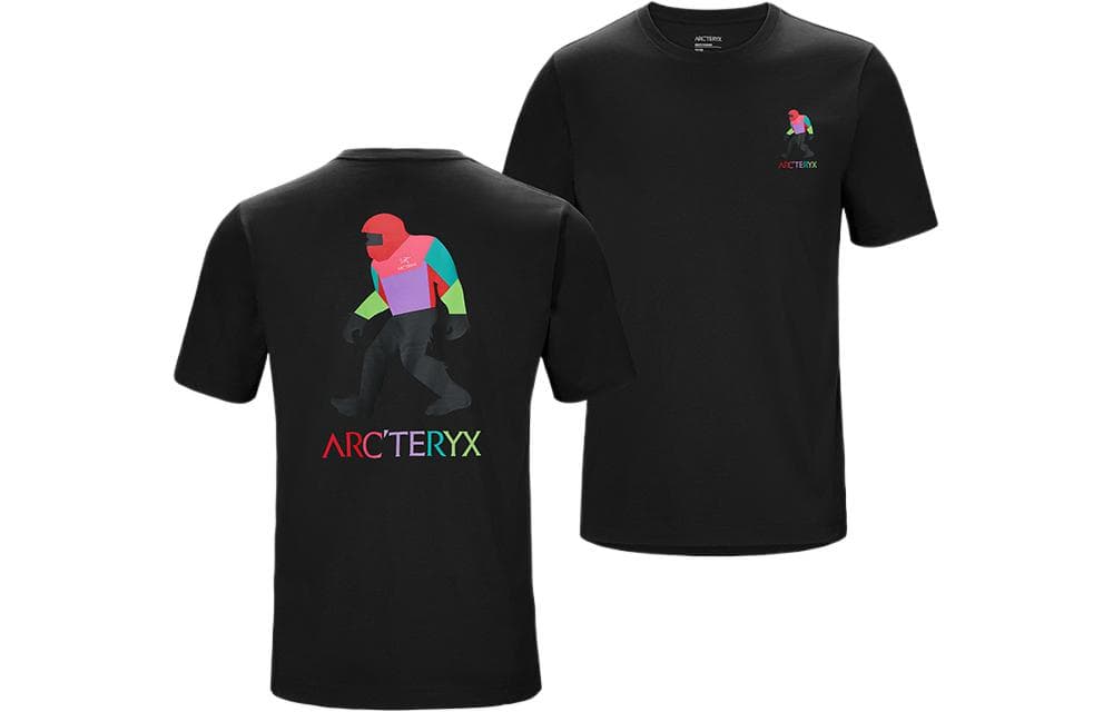 Футболка Arcteryx x Bigfoot SV Polychrome T - изображение 1