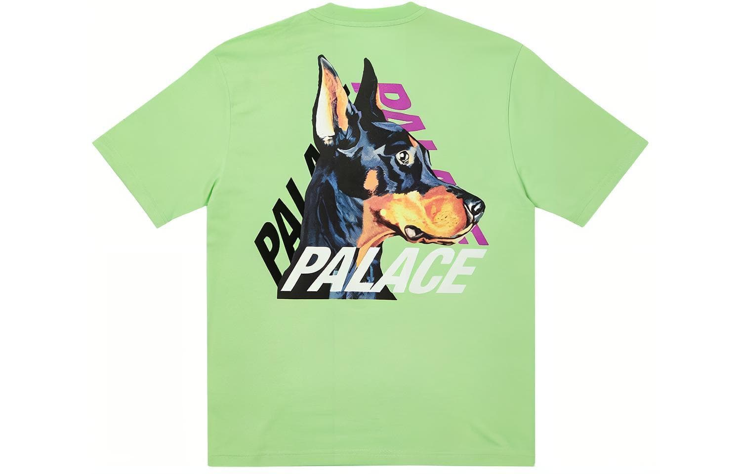 Футболка PALACE SS22 P-3-K-9 T-shirt Pistachio LogoT - изображение 1