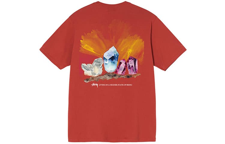 Футболка Stussy Higher State Tee T - изображение 1