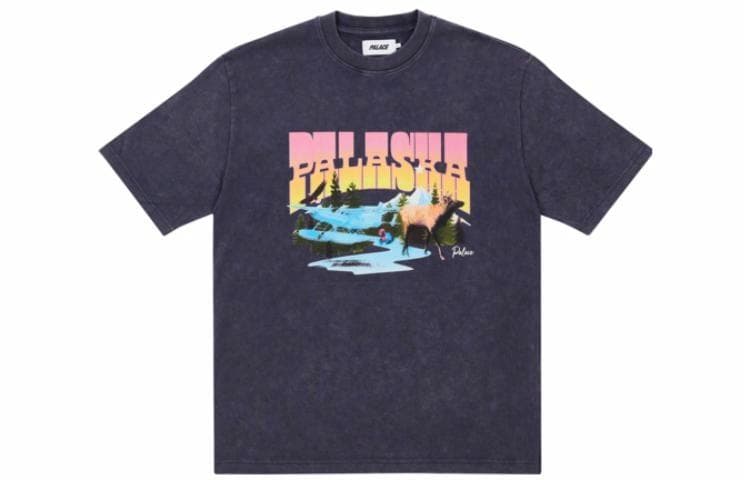 Футболка PALACE SS22 Palaska Dye T-shirt Purple T - изображение 1