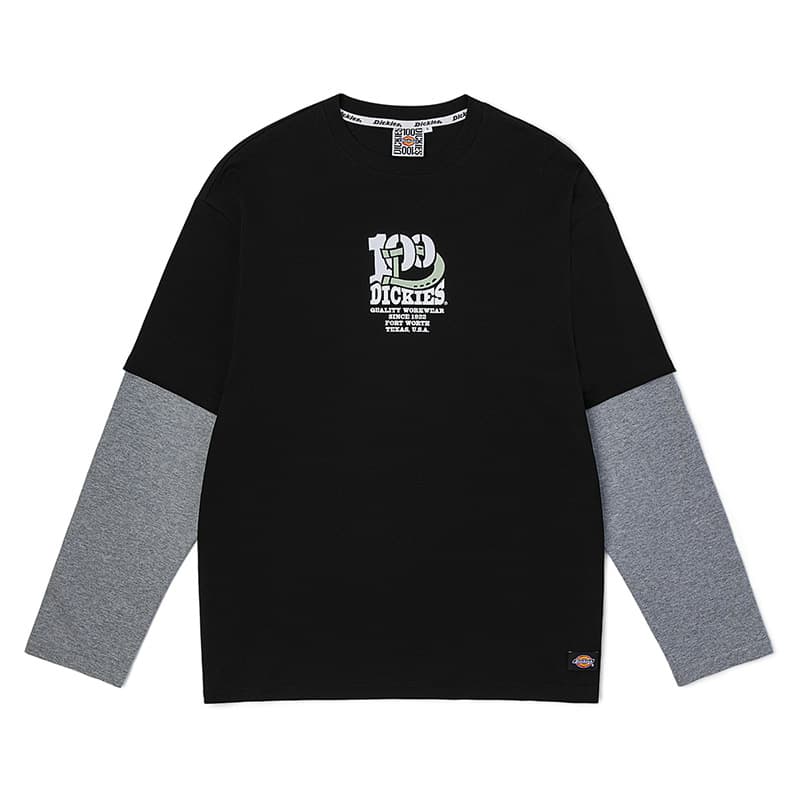 Футболка Dickies 100 LogoT - изображение 1