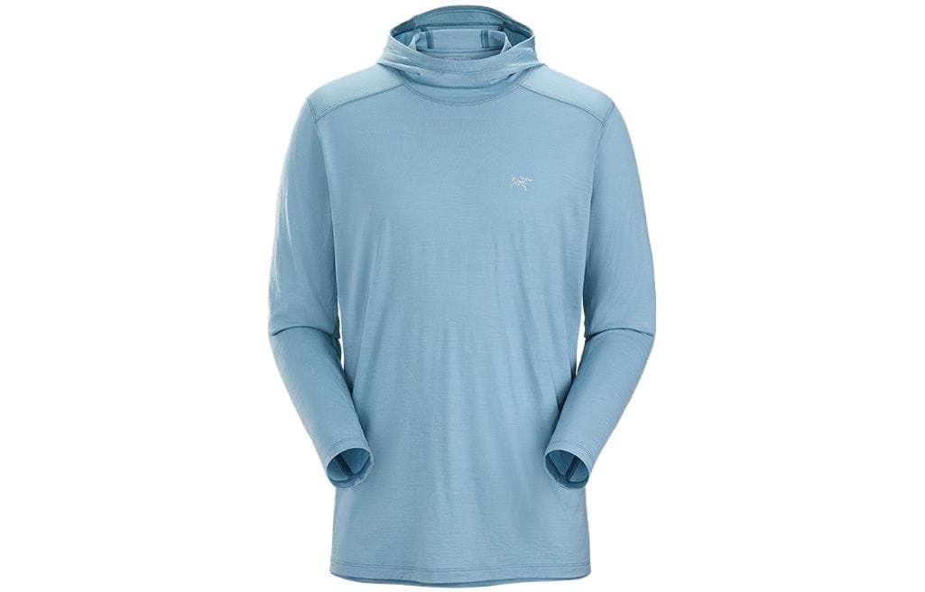 Футболка Arcteryx Ionia Merino Wool Hoody M LogoT - изображение 1