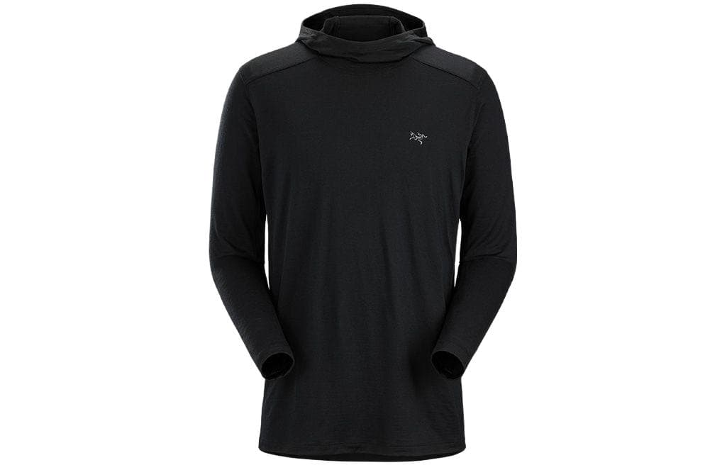 Футболка Arcteryx Ionia Merino Wool Hoody M LogoT - изображение 3