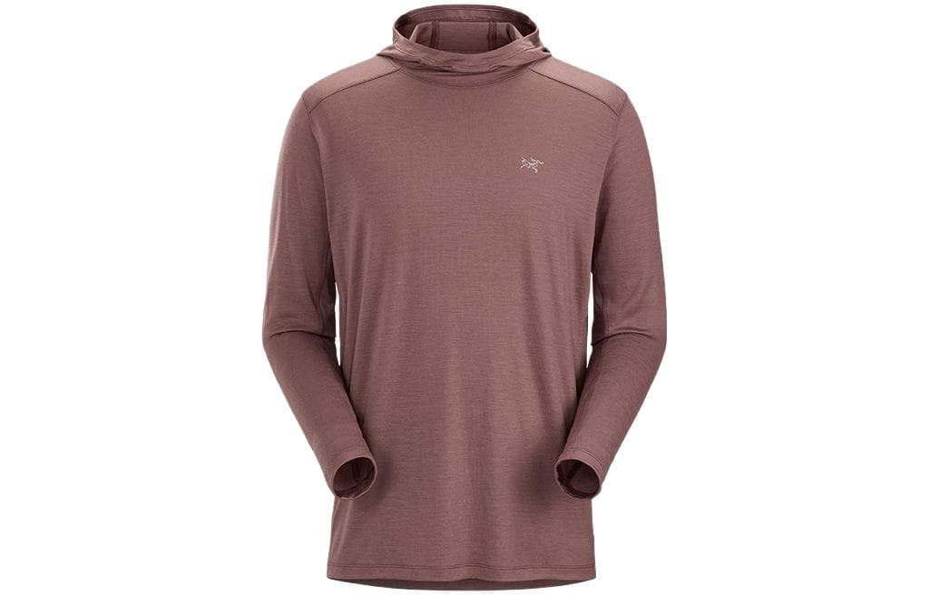 Футболка Arcteryx Ionia Merino Wool Hoody M LogoT - изображение 2
